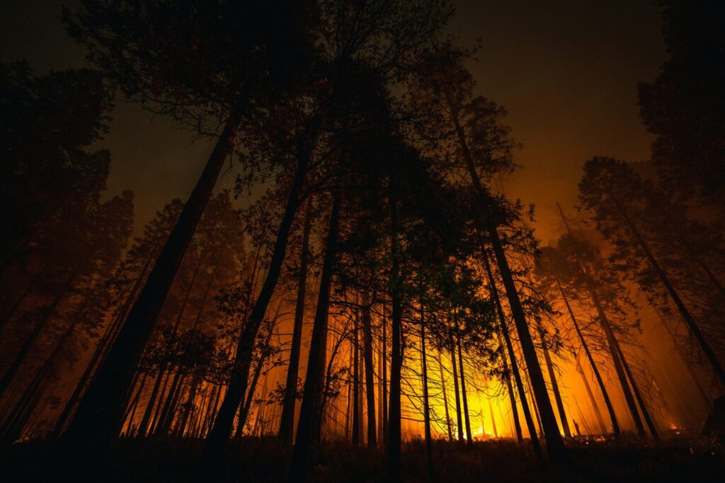 extreme heat is causing wildfires across Europe
