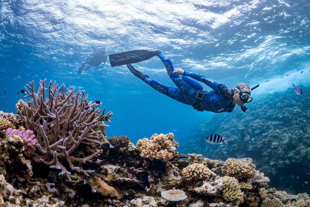 woman snorkelling at Avani+ Fares Maldives