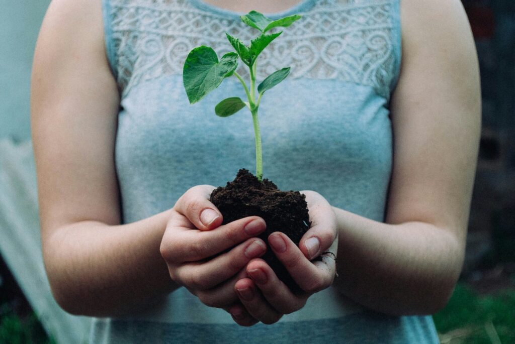 a person holding a plant