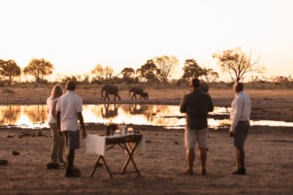 People watching elephants by waterhole
