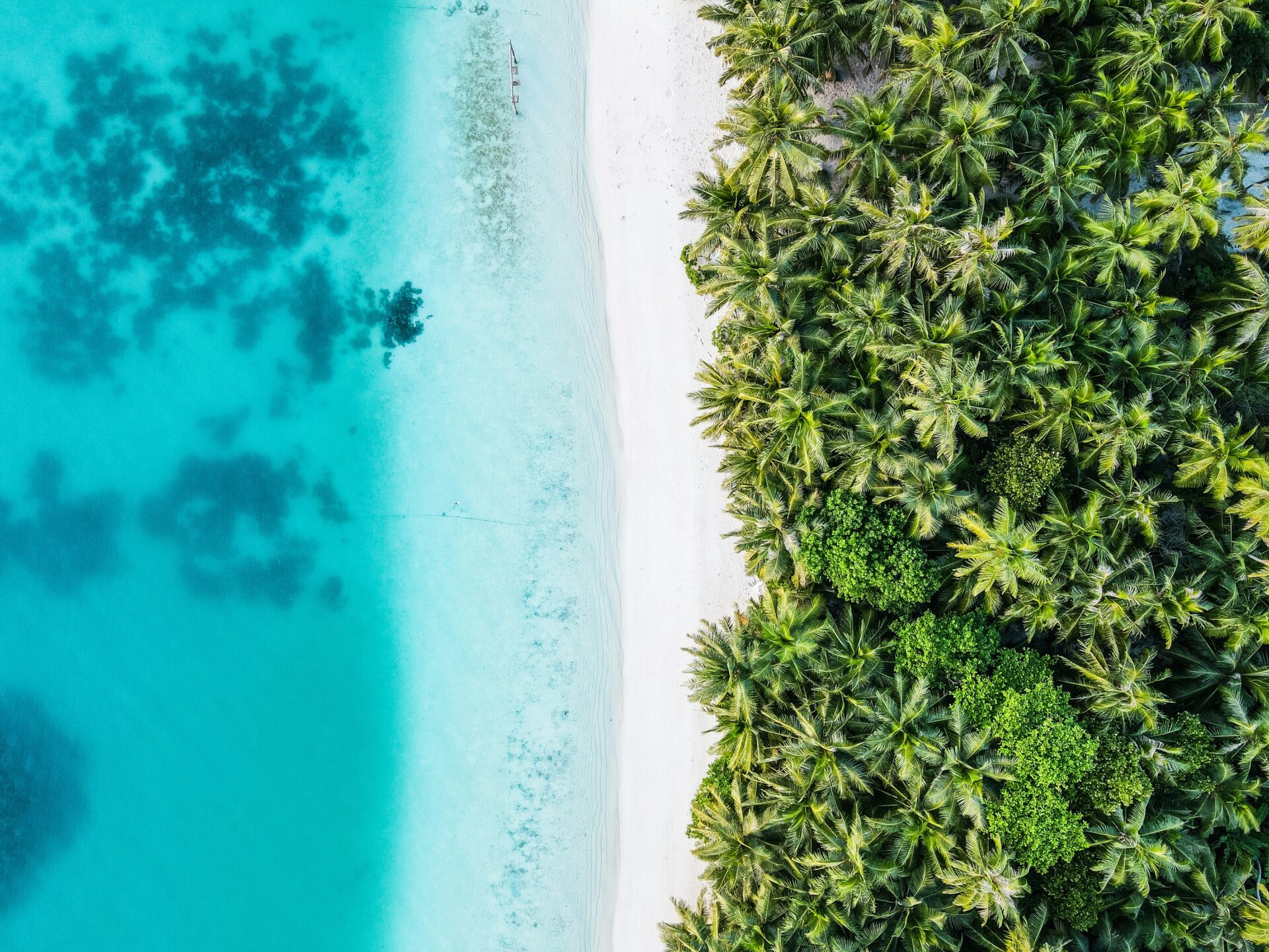 aerial view of a beach in the maldives 