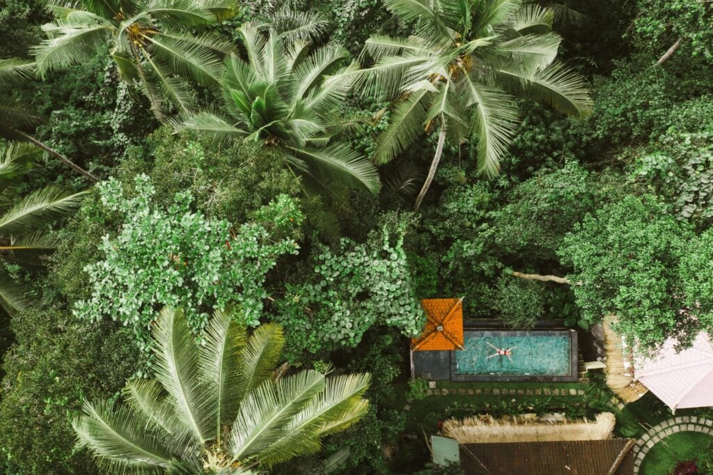Lush greenery surrounding a serene pool.