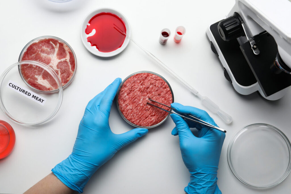 Laboratory work with cultured meat samples.