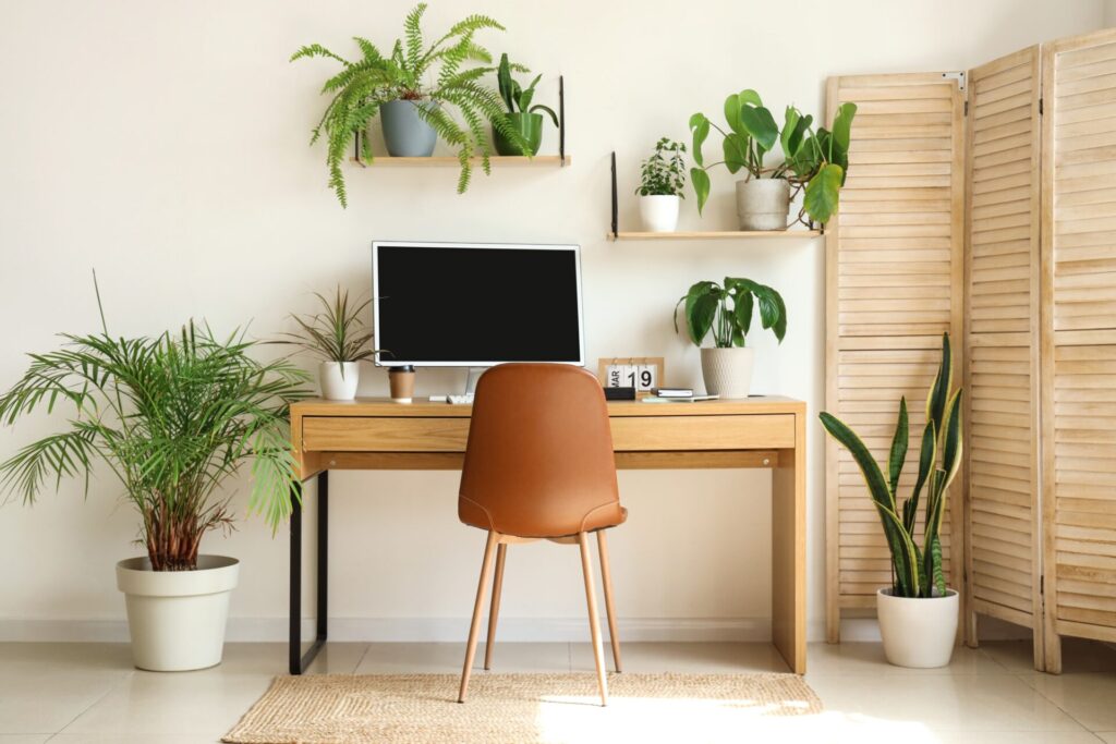 Modern workspace with plants and decor