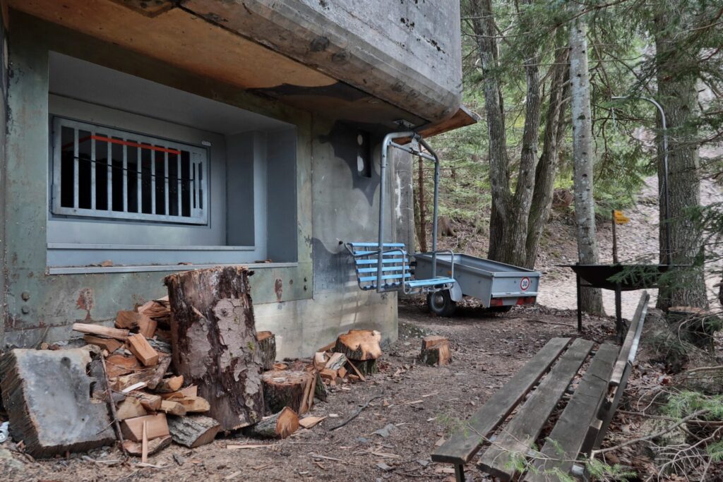 Bunker surrounded by forest and logs