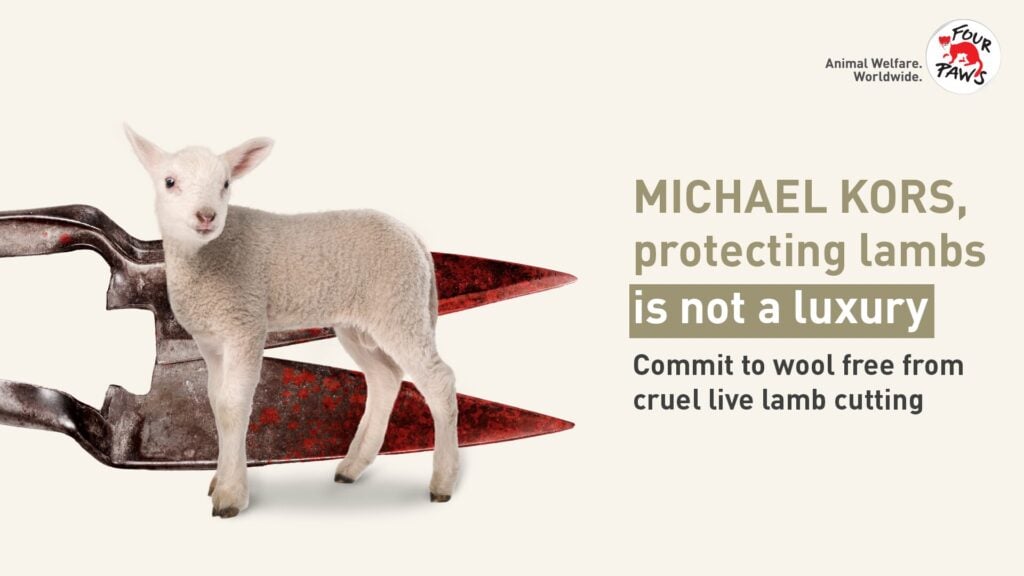 Michael Kors campaign to stop live lamb cutting with lamb and shears and Four Paws logo