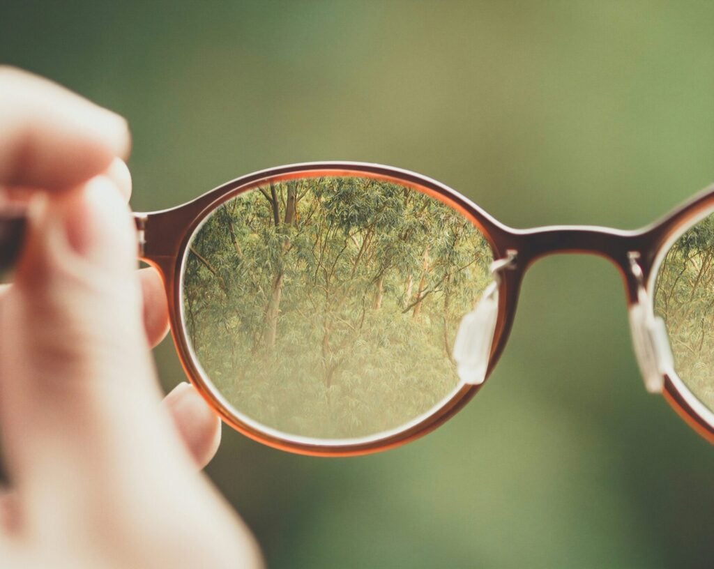 Glasses reflecting lush green trees