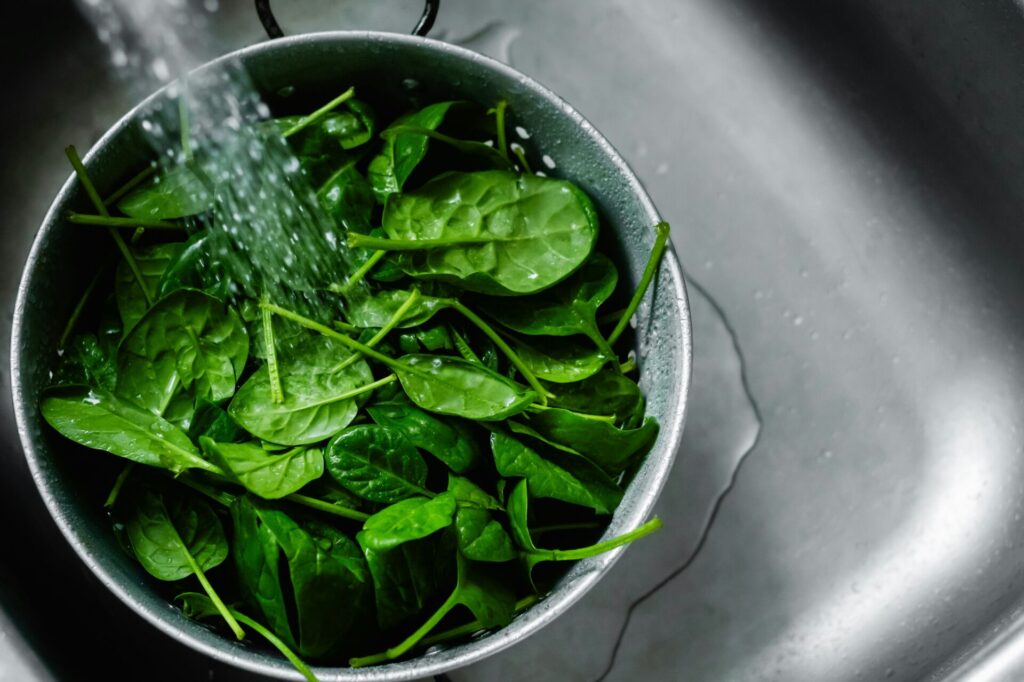 Fresh spinach being washed in sink