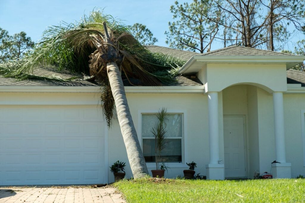 Leaning palm on roof of house in storm damage
