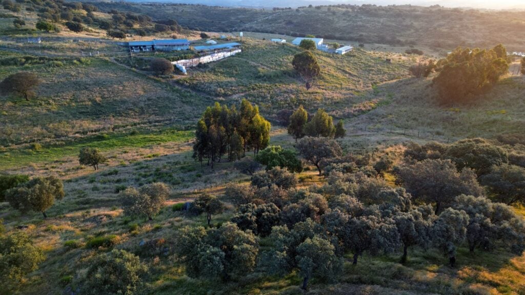 the elephant sanctuary ill be set in the rolling hills of Portugal