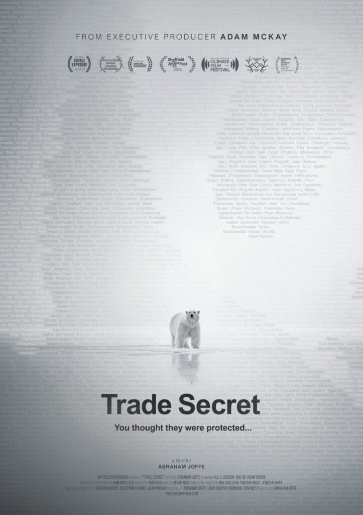 The Trade Secret film poster with a polar bear in grey