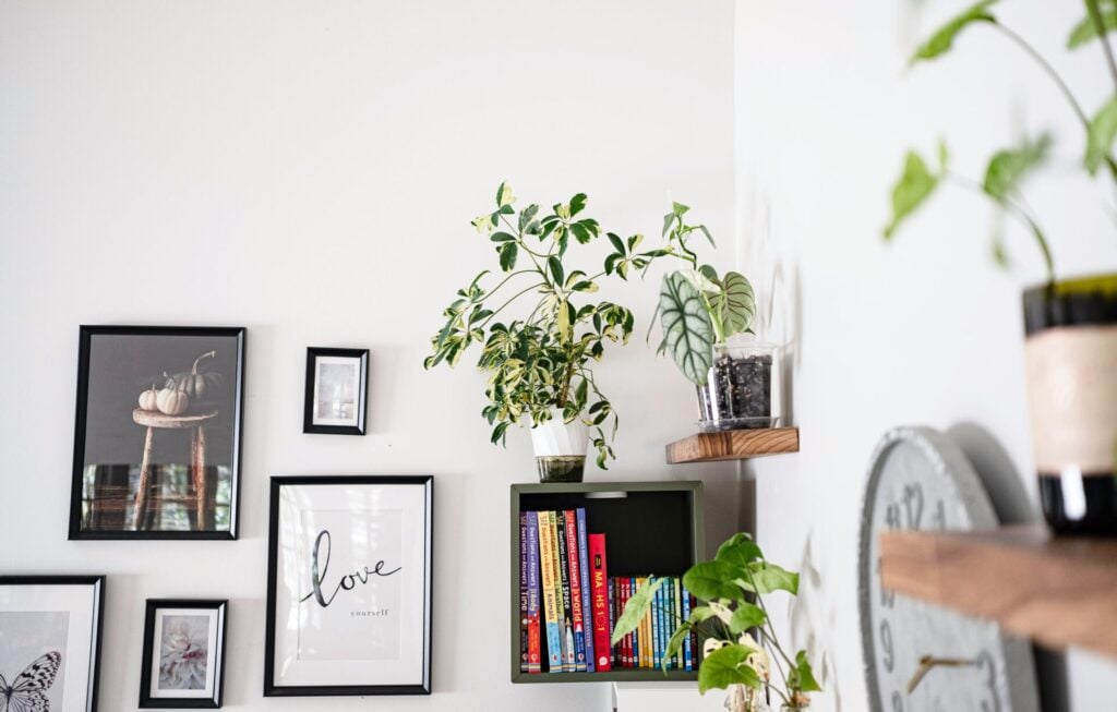 Decorative wall with plants and books