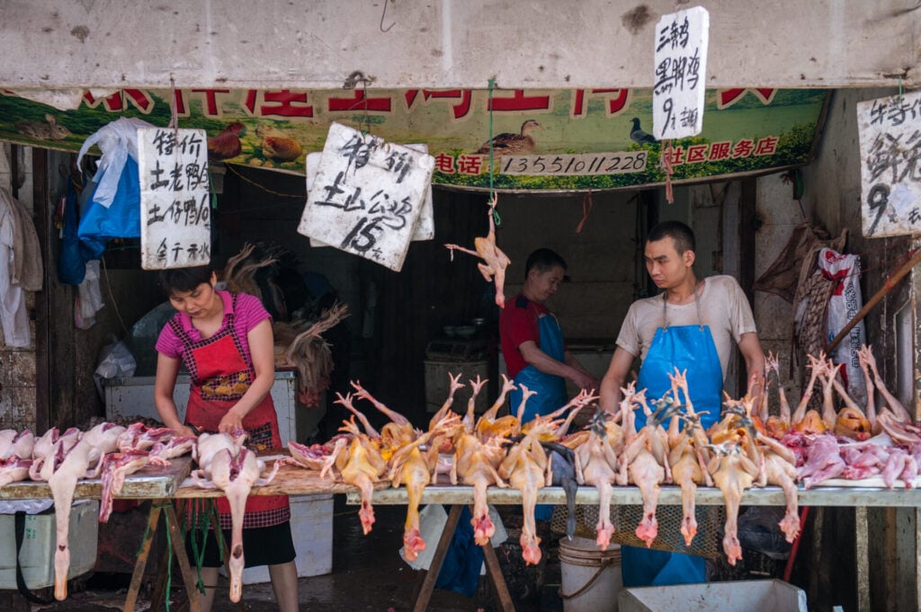 Market stall with various poultry displayed.