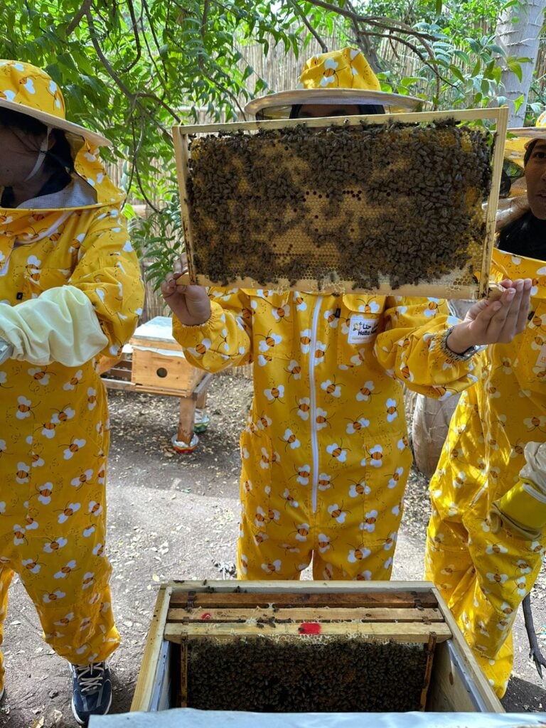 people taking part in the Terra beekeeping course holding up the hive 