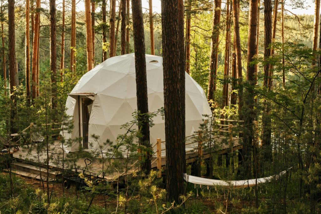 Geodesic dome nestled in forest
