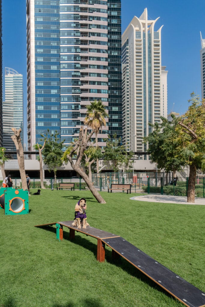 dog park in JLT 