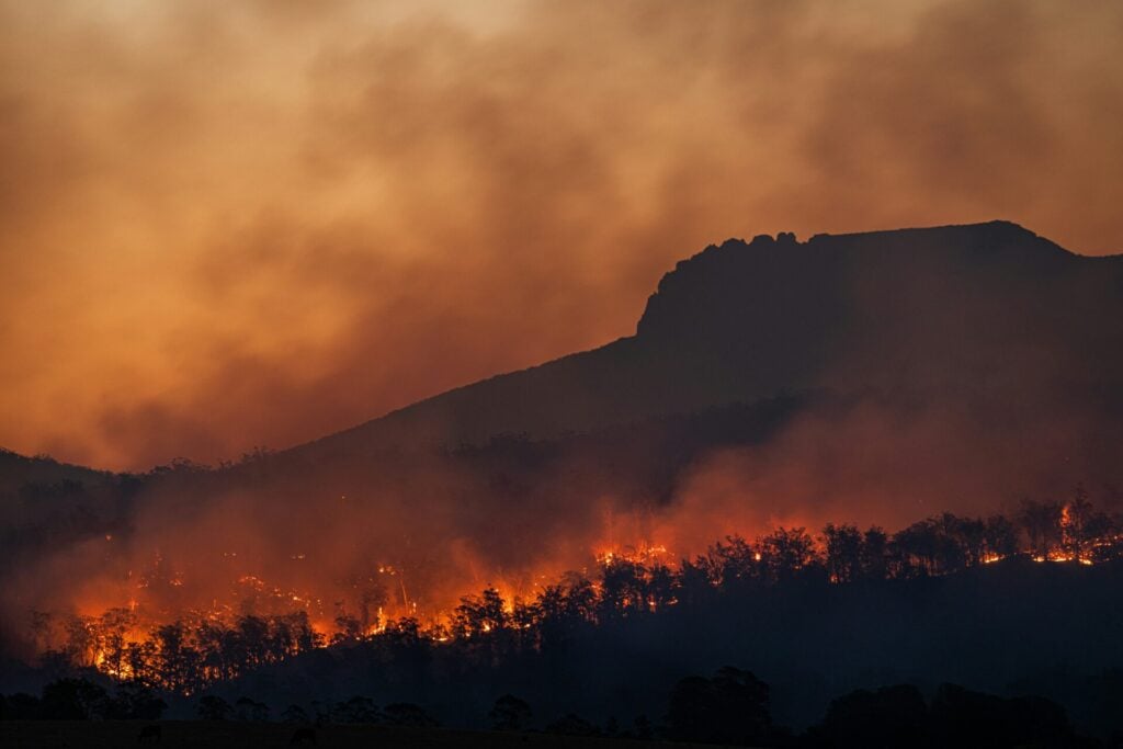 wildfire in south africa - these would be more common in a hothouse earth