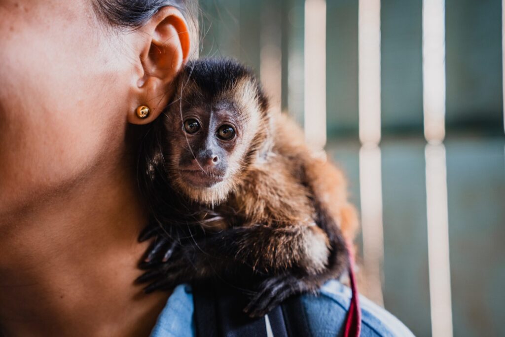 pet primates on woman's shoulder with bars behind her 