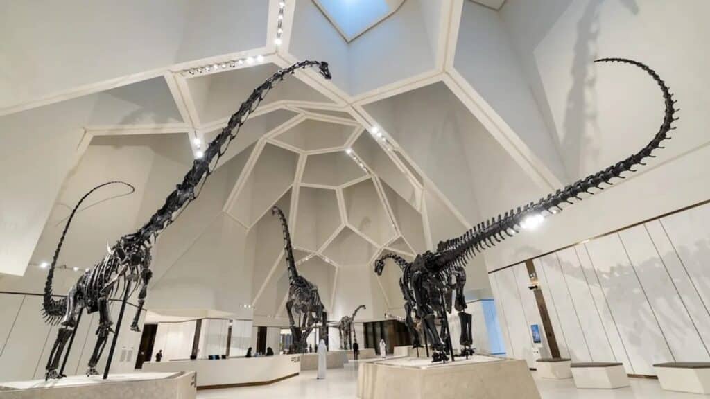 Inside Natural History Museum Abu Dhabi