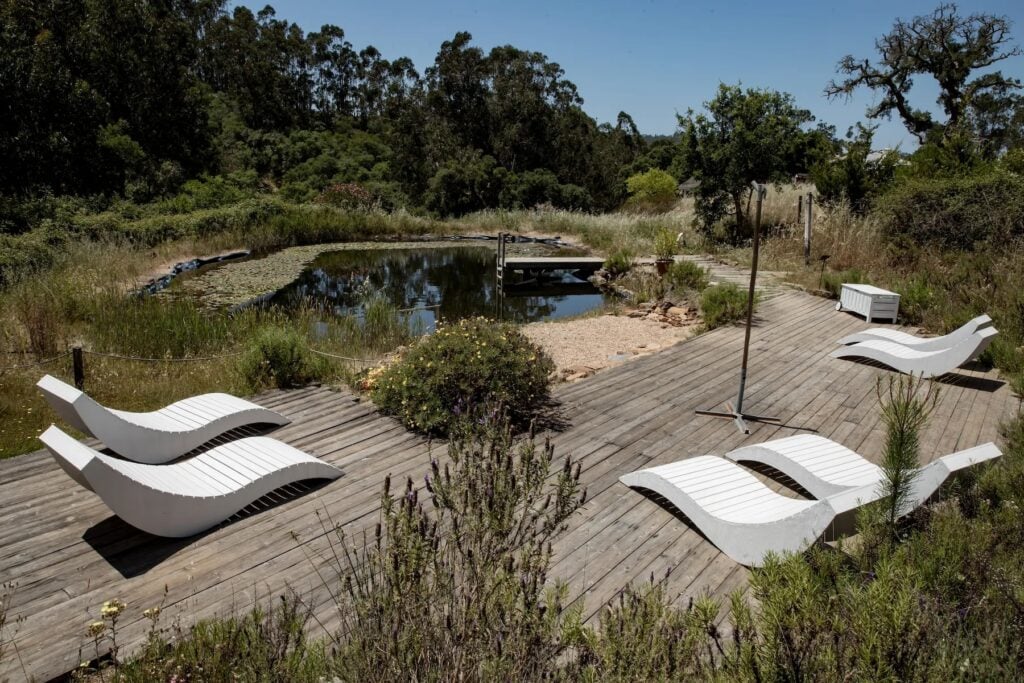natural lake pool surrounded by trees 