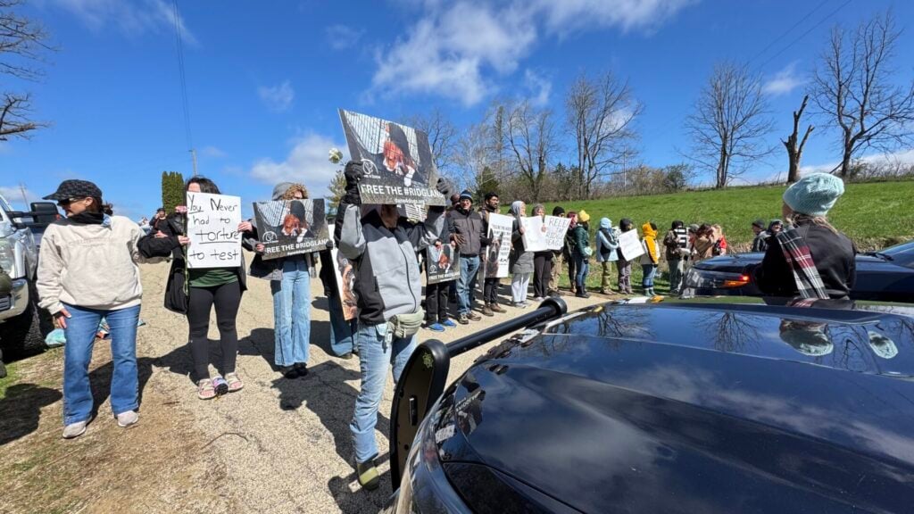 people protesting against lab beagles 