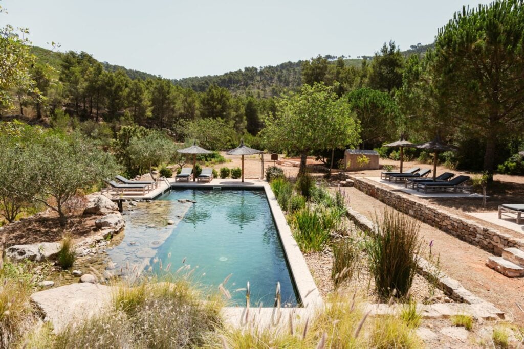 Serene pool surrounded by nature