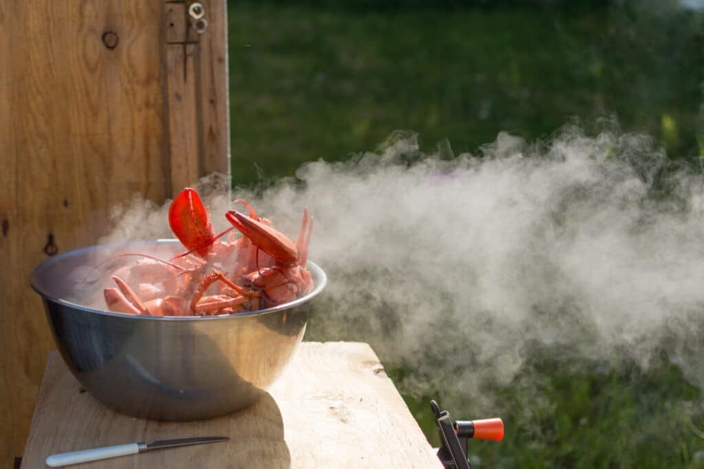 lobster in boiling water