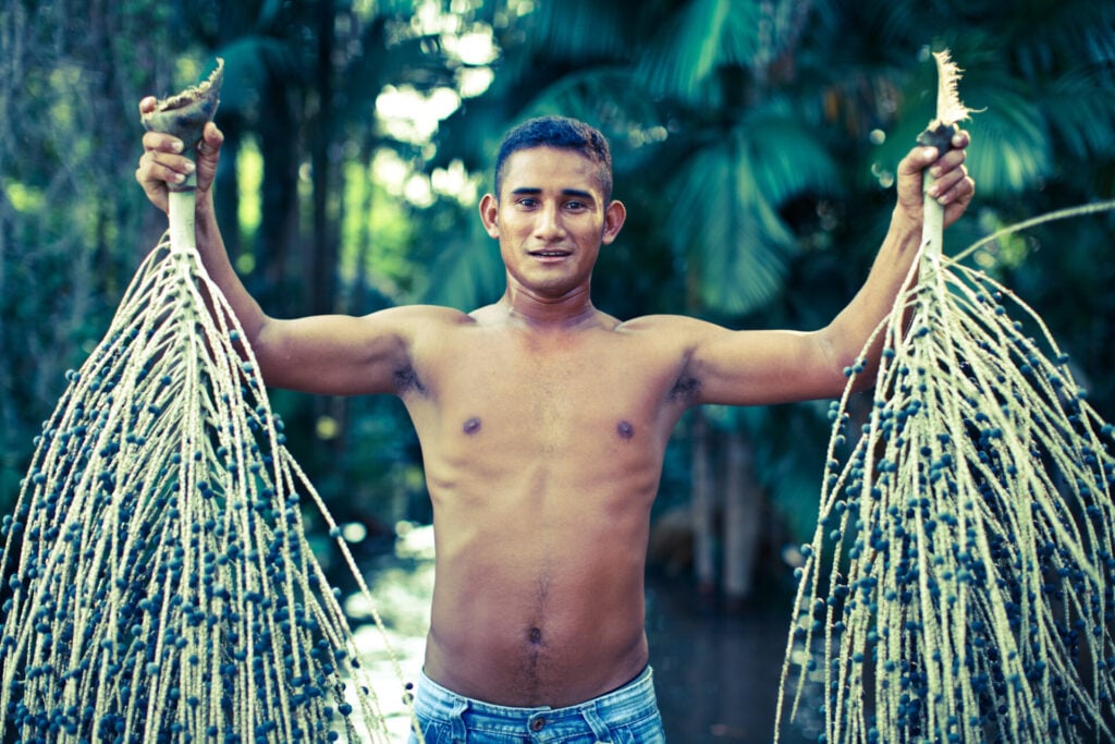 man holding acai fronds 