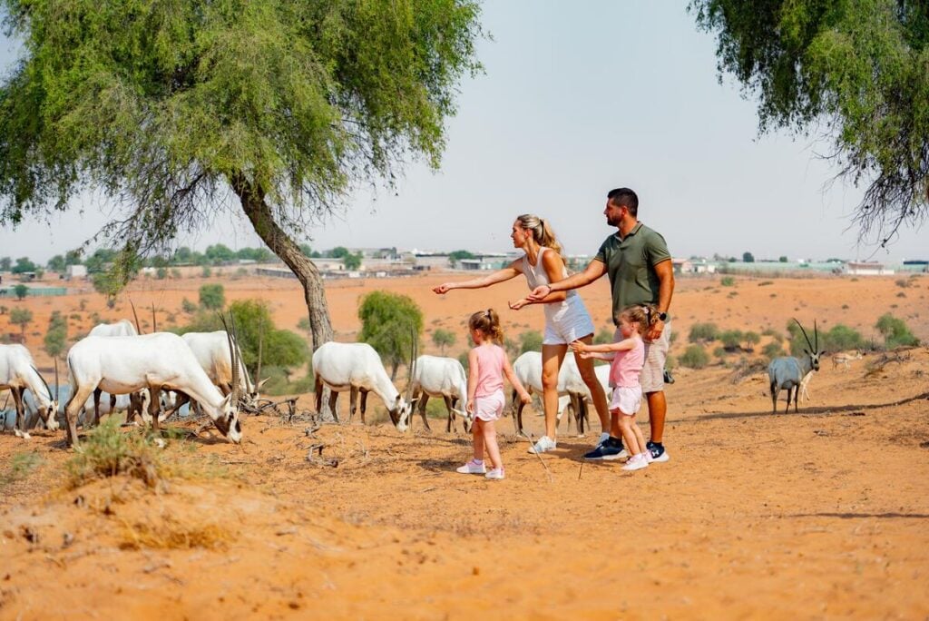 family feeding oryx in desert