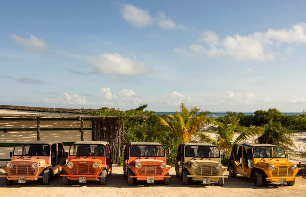 buggies lined up on the beach
