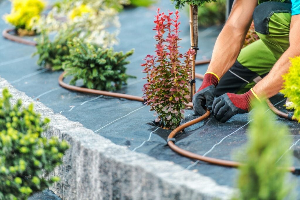 gardener installing efficient landscaping water irrigation