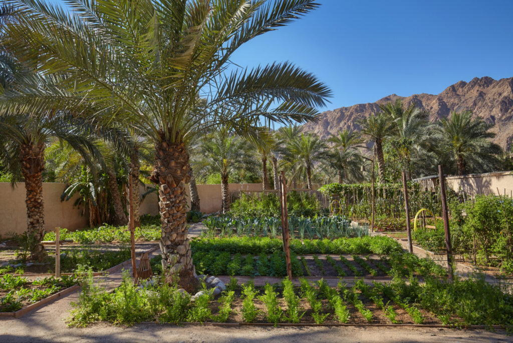 Garden at Six Senses Zighy Bay