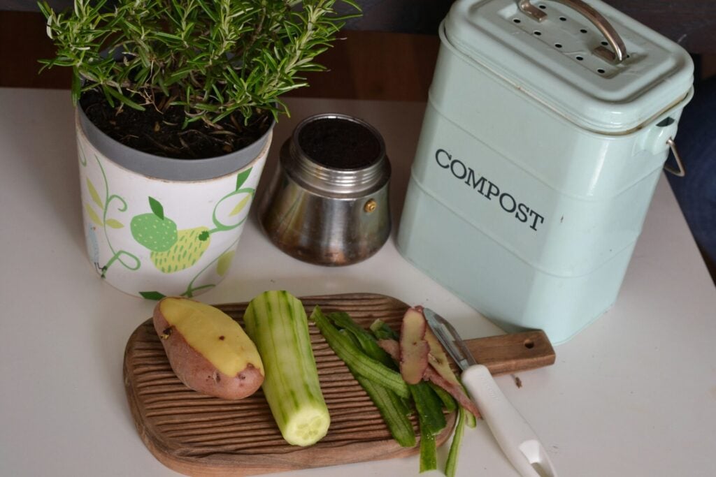 you can celebrate Sustainable Gastronomy Day in fun and meaningful ways like using leftovers