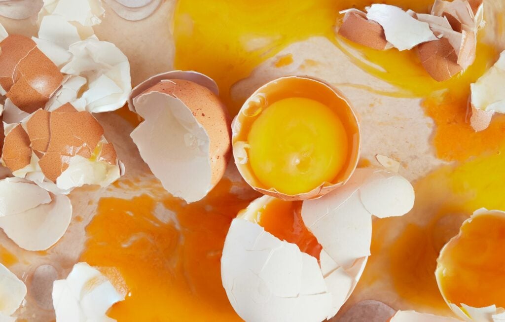 cracked eggs 