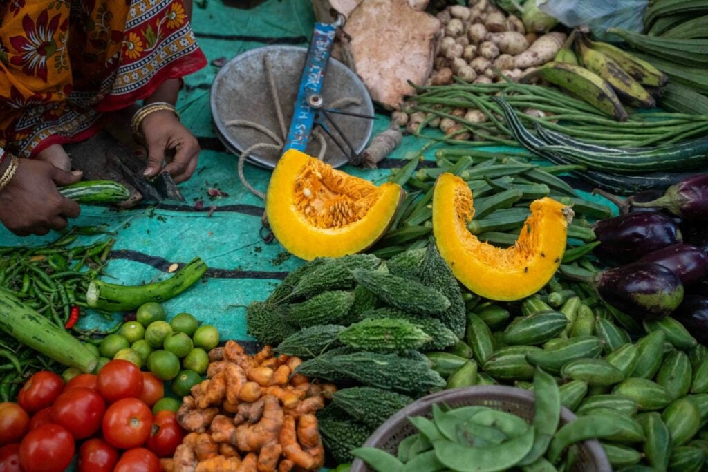 vegetable biodiversity