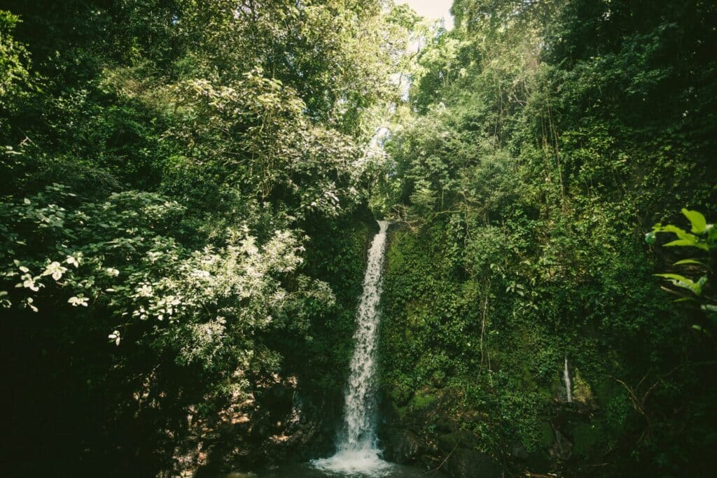 the Toraille Waterfall surrounded by lush vegetation
