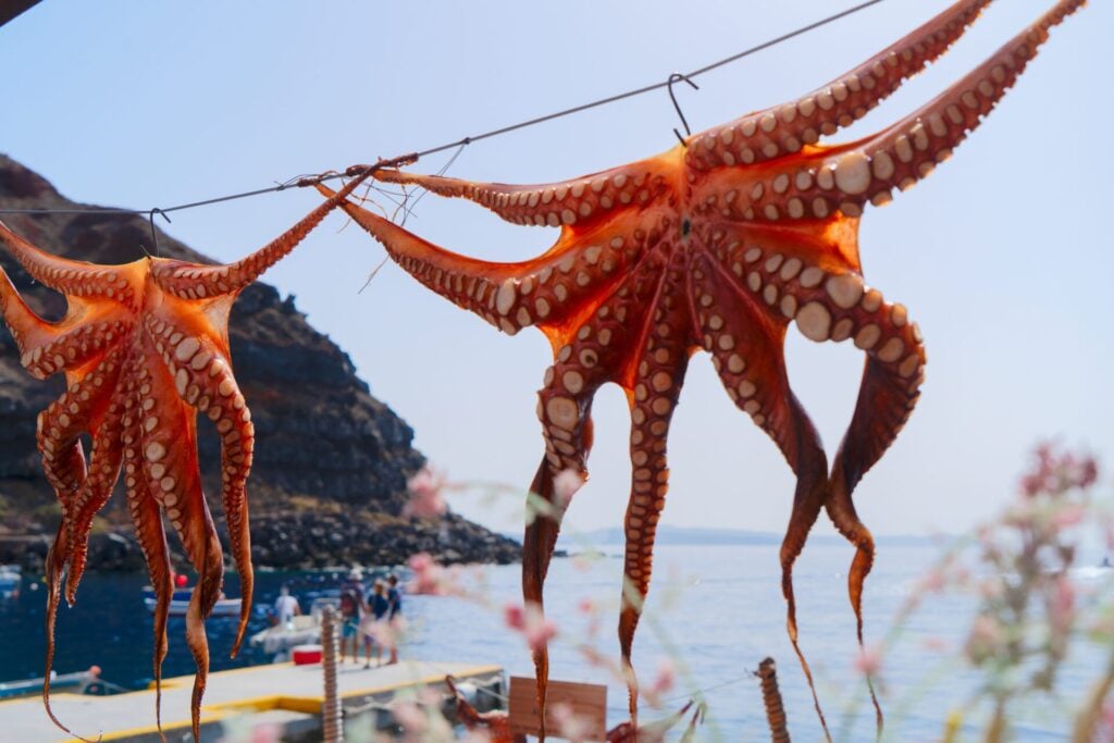 dead octopus hanging out side a restaurant