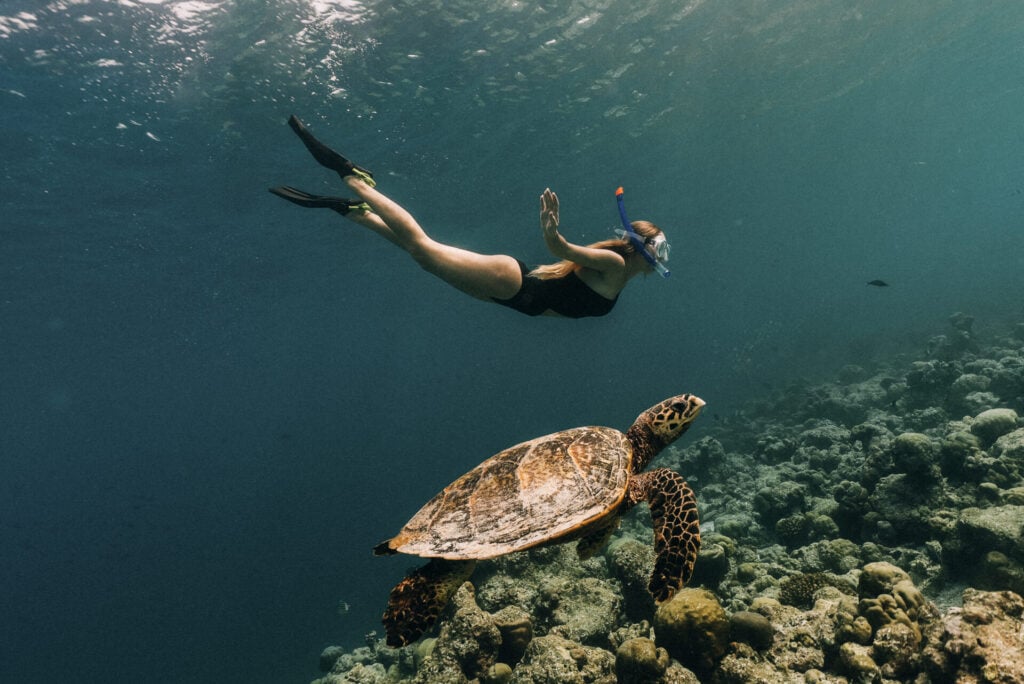 woman swimming with turtle at Soneva Jani 