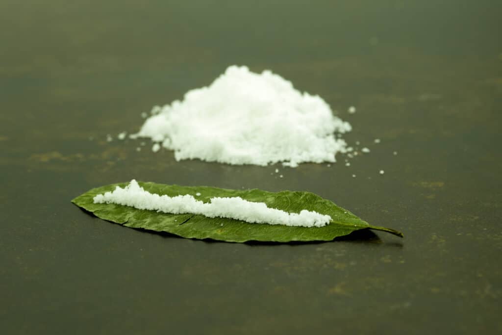 moths can eat cocaine without negative side effects