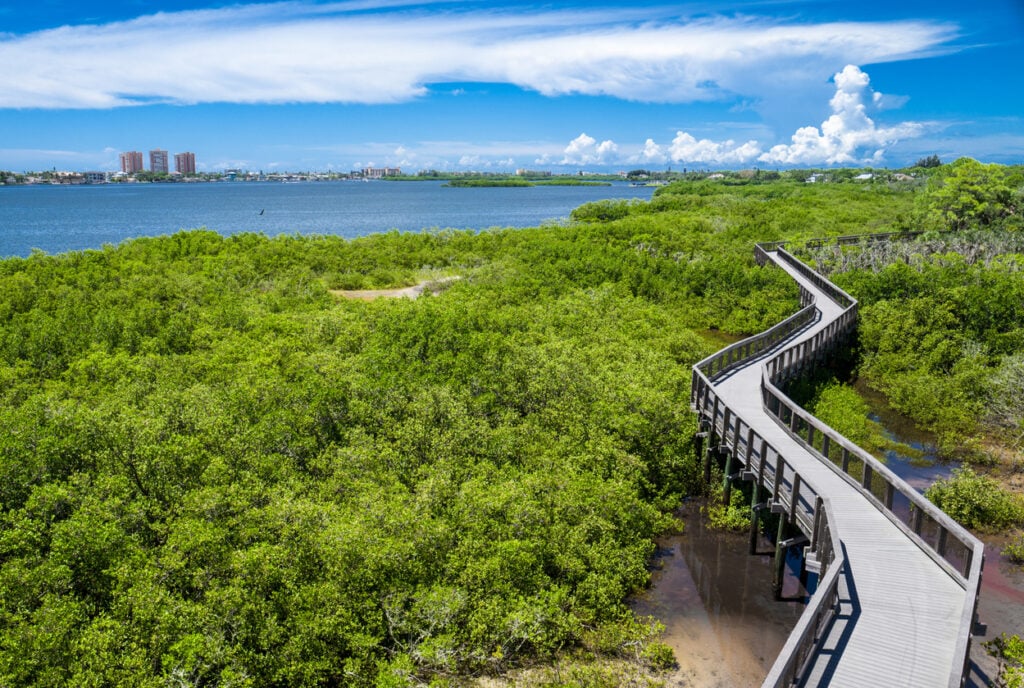Millennium Park in St. Petersburg Florida from the observation tower.