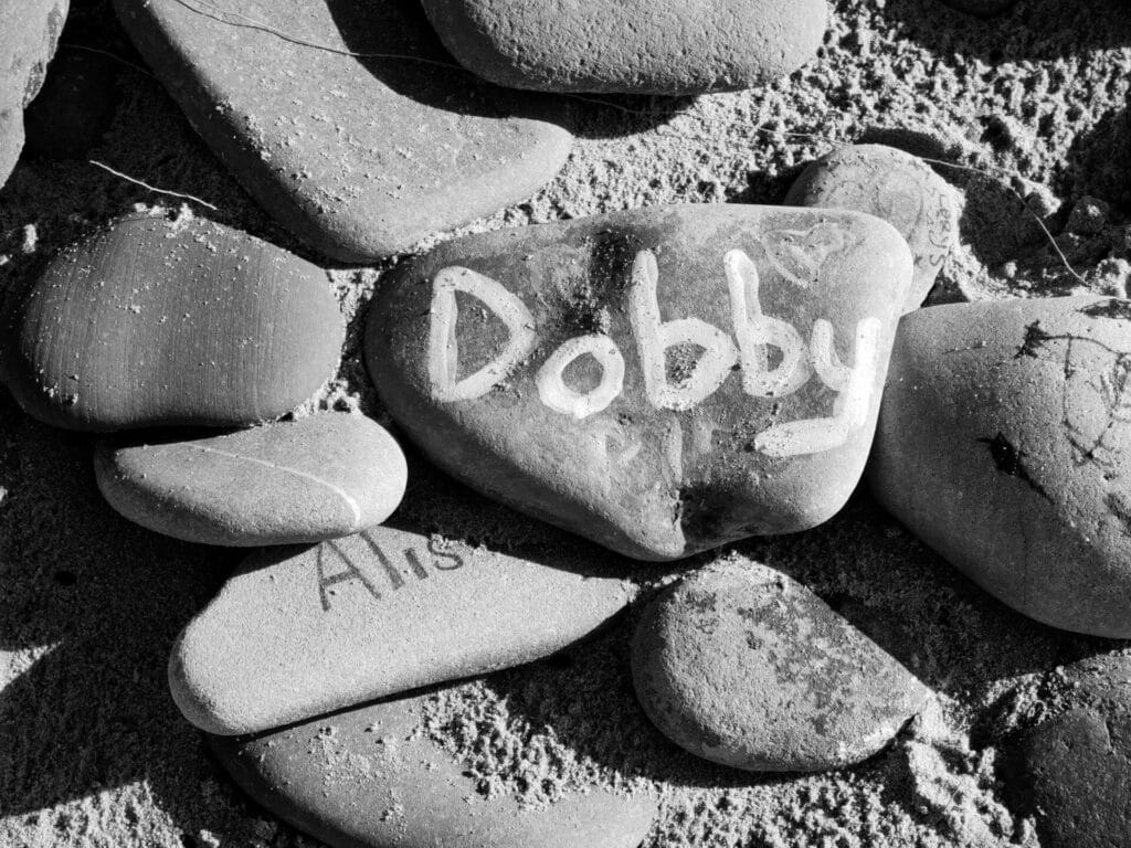 Stone with Dobby engraved on it