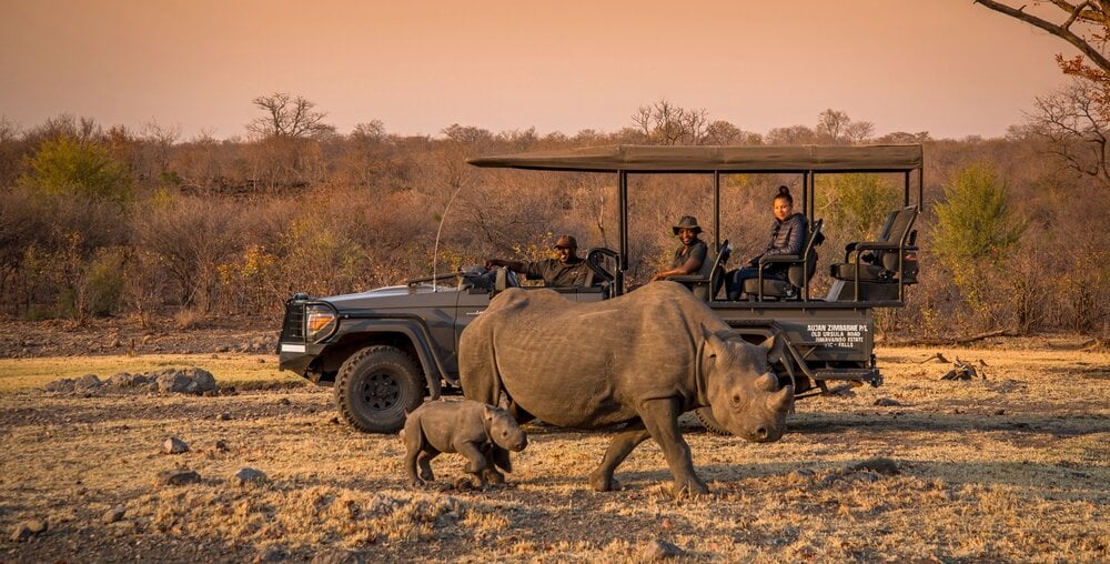 rhino watching at Anantara Stanley & Livingstone Victoria Falls Hotel