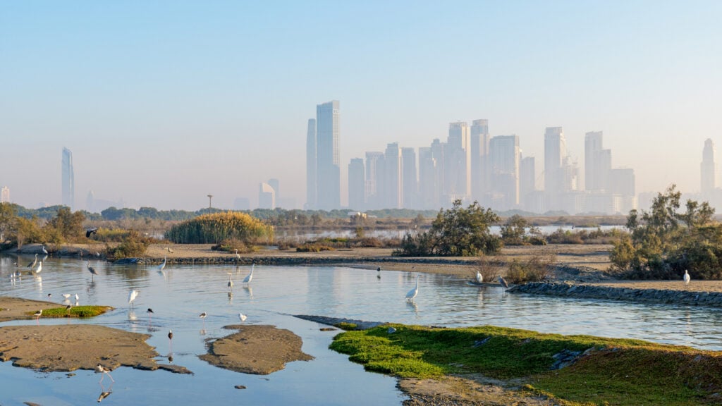 calm view of birds and wetlands at Ras Al Khor Wildlife Sanctuary in Dubai. The city skyline in the background highlights the mix of nature and urban life