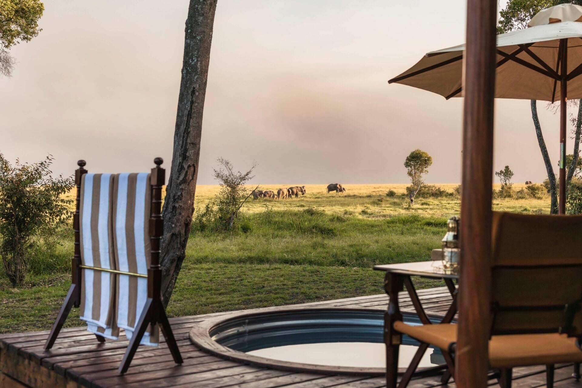elephants passing at sunset outside Elewana Little Elephant Pepper Camp 