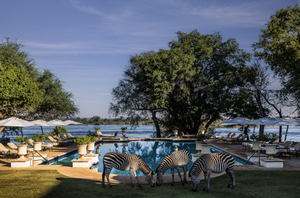Minor Hotels' sustainable operations include wildlife preservation. The Royal Livingstone Victoria Falls Zambia Hotel by Anantara