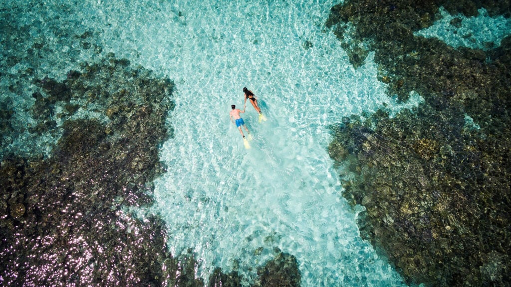 Snorkelling around Huvafen Fushi’s coral reef offers a glimpse into a busy underwater neighbourhood