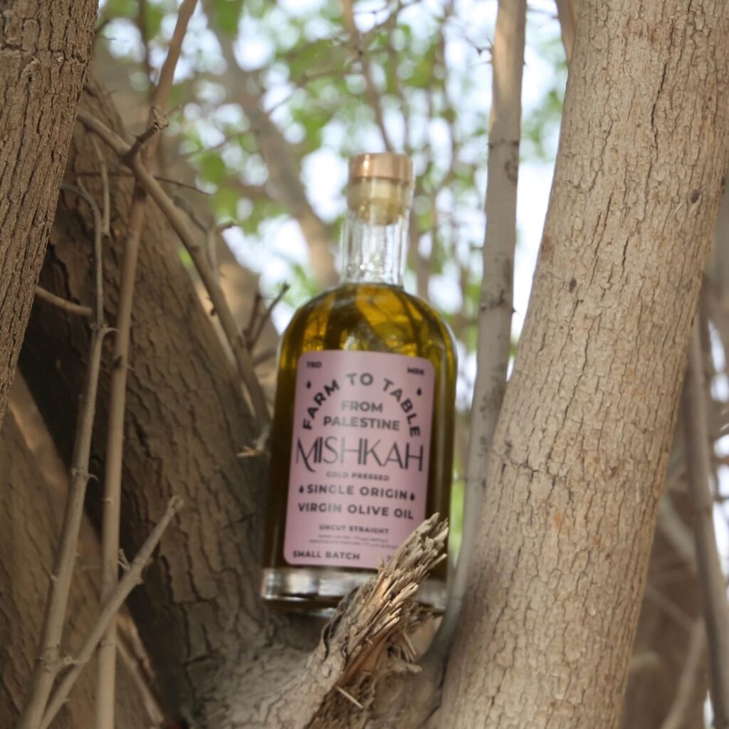 bottle of Mishkah olive oil in a tree 